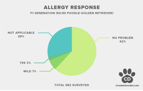 F1 Goldendoodle Allergy Statistics