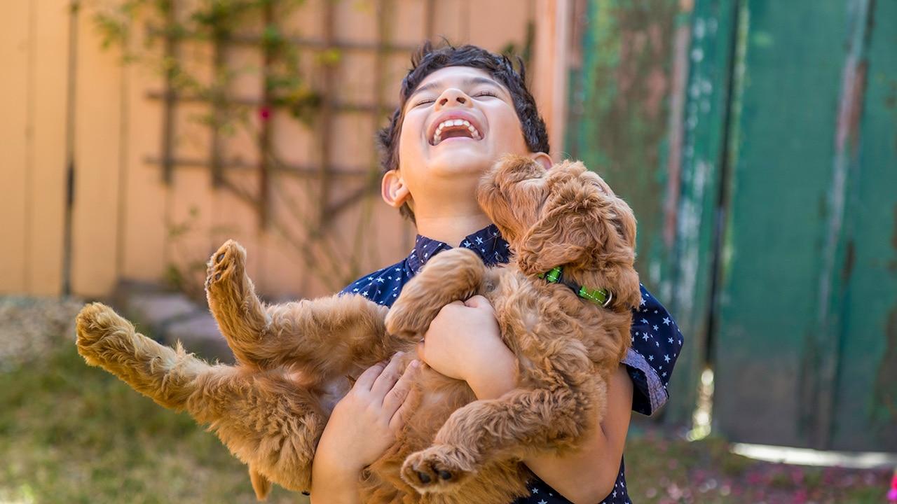Happy Boy with a Goldendoodle Puppy