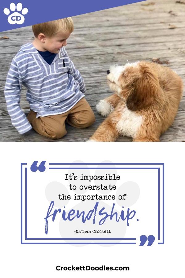 Puppy Quote Importance Of Friendship