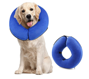 Dog Protective Collar