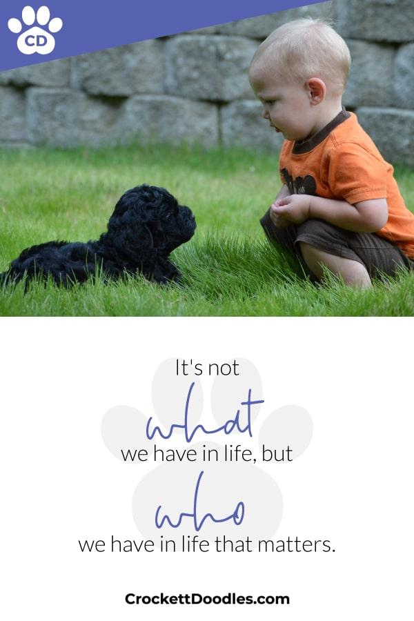 Puppy Quote Not What We Have In Life