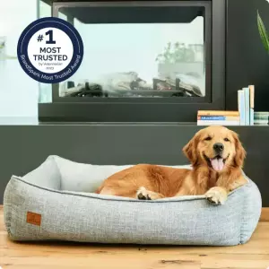 Buddy Bed for Dogs