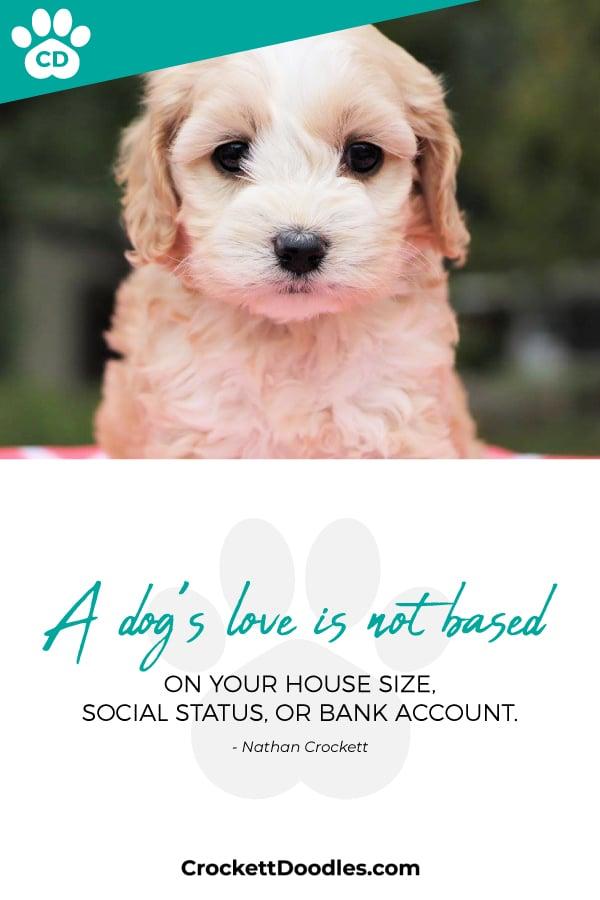 Puppy Quote Dogs Love