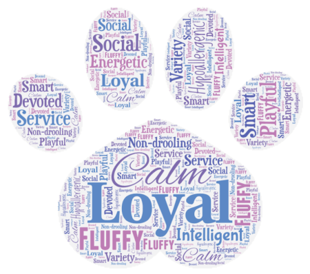 Bernedoodle Word Art