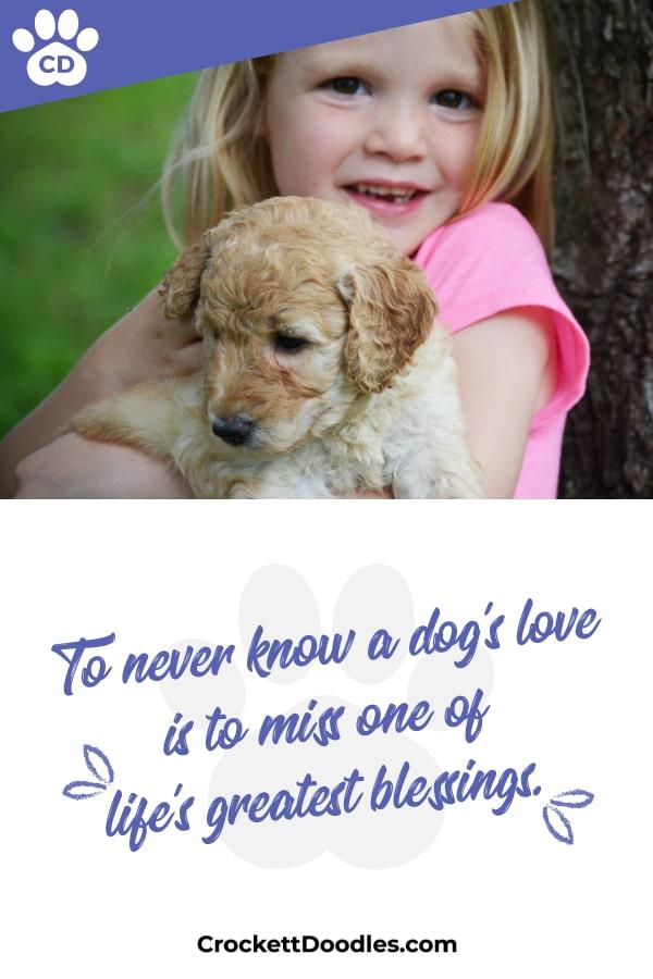 Puppy Quote To Never Know A Dogs Love