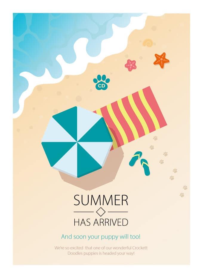 CD Summer Gift Certificate Beach