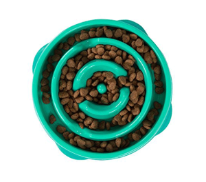 Dog Slow Eating Bowl