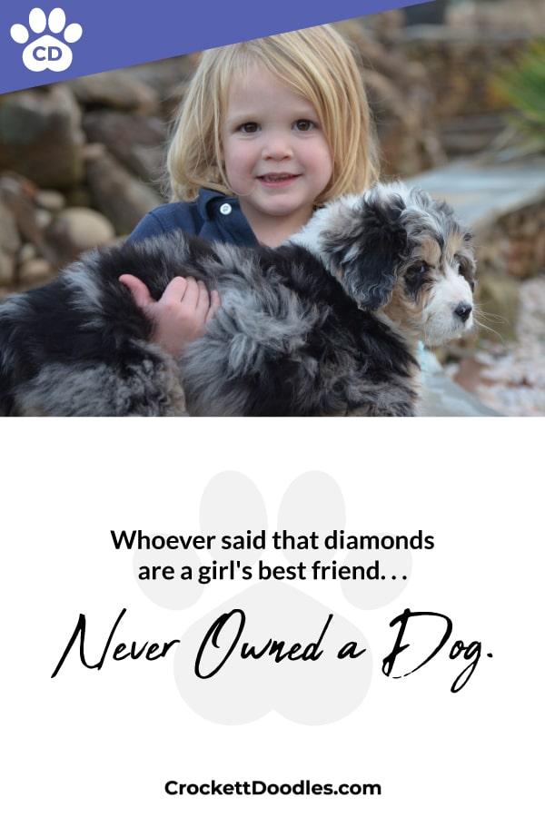 Puppy Quote Never Owned A Dog