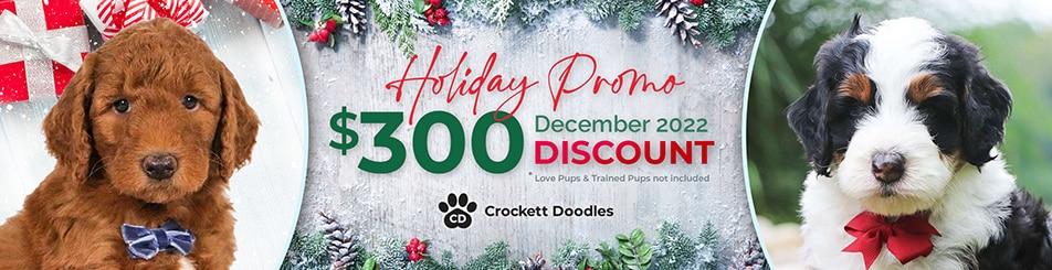 December 2022 Holiday Discount