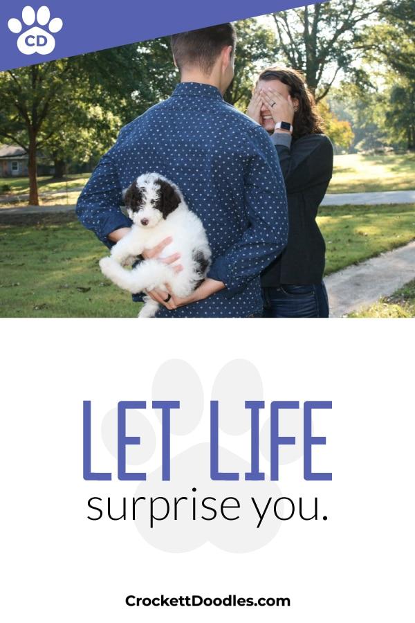 Puppy Quote Let Life Surprise You