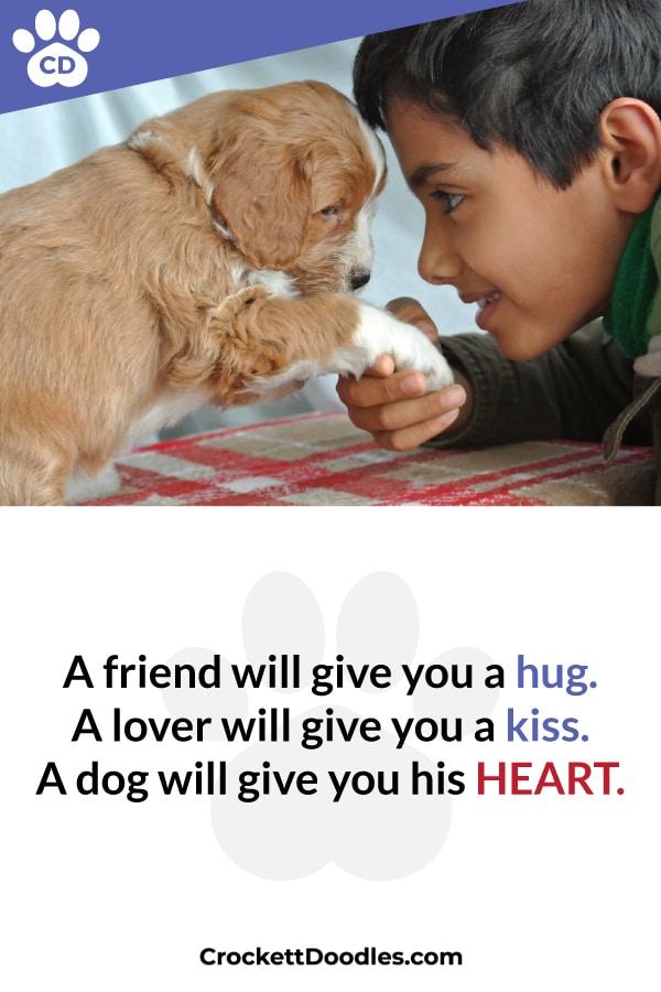 Puppy Quote A Dog Will Give You His Heart