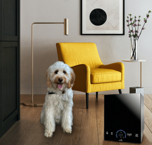 Active Pro Sanitizer Products