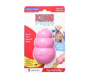 Dog Kong Toy