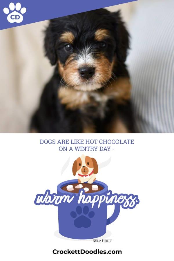 Puppy Quote Hot Chocolate
