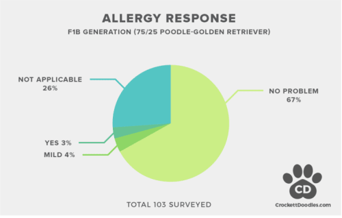 F1B Goldendoodle Allergy Statistics