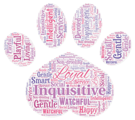 Sheepadoodles Word Art