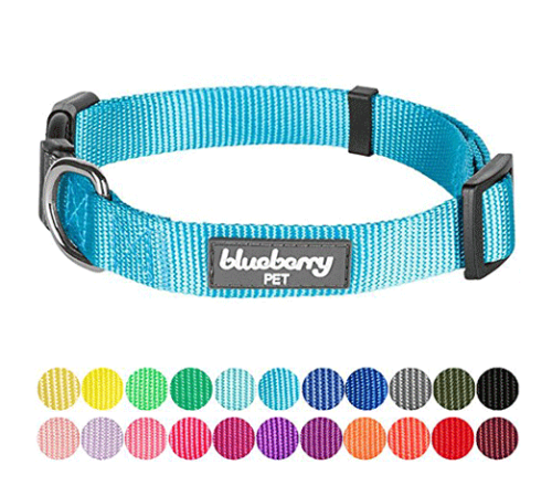 Dog Collars