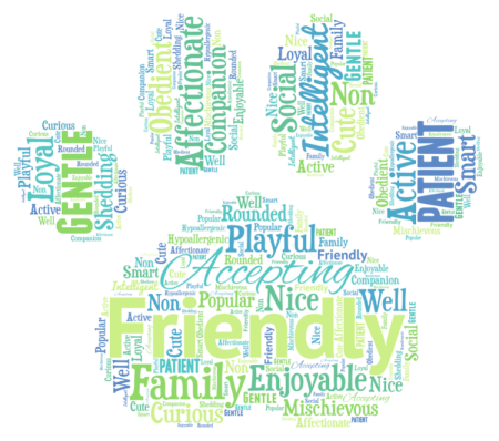 Goldendoodle Word Art