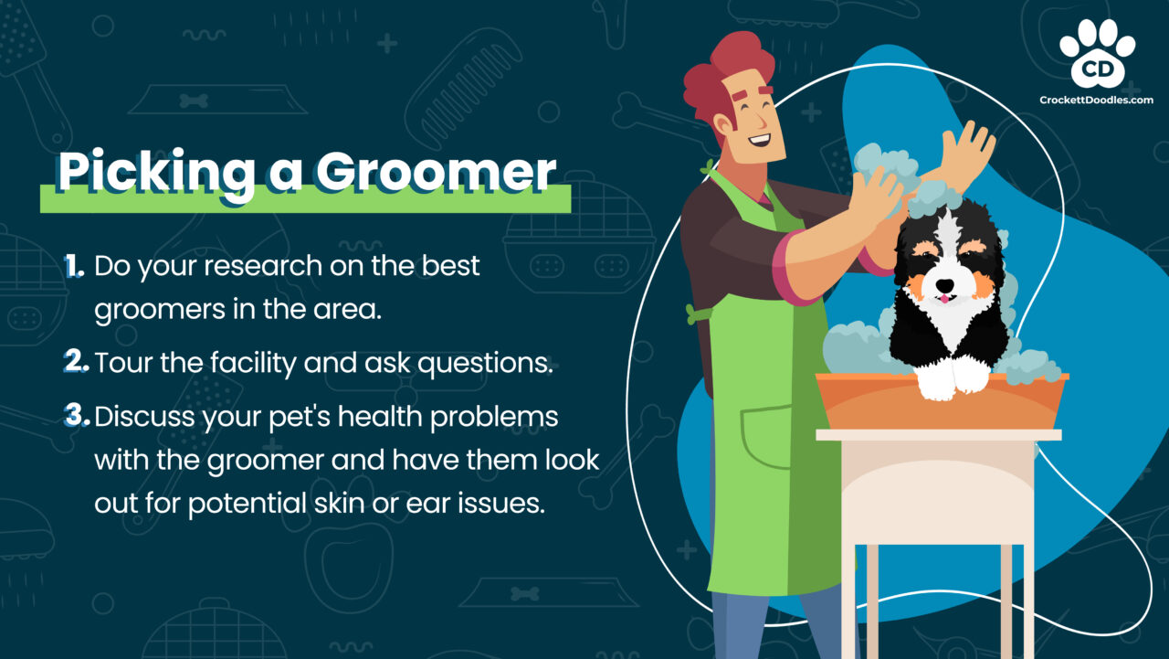 Picking a Groomer Infographic