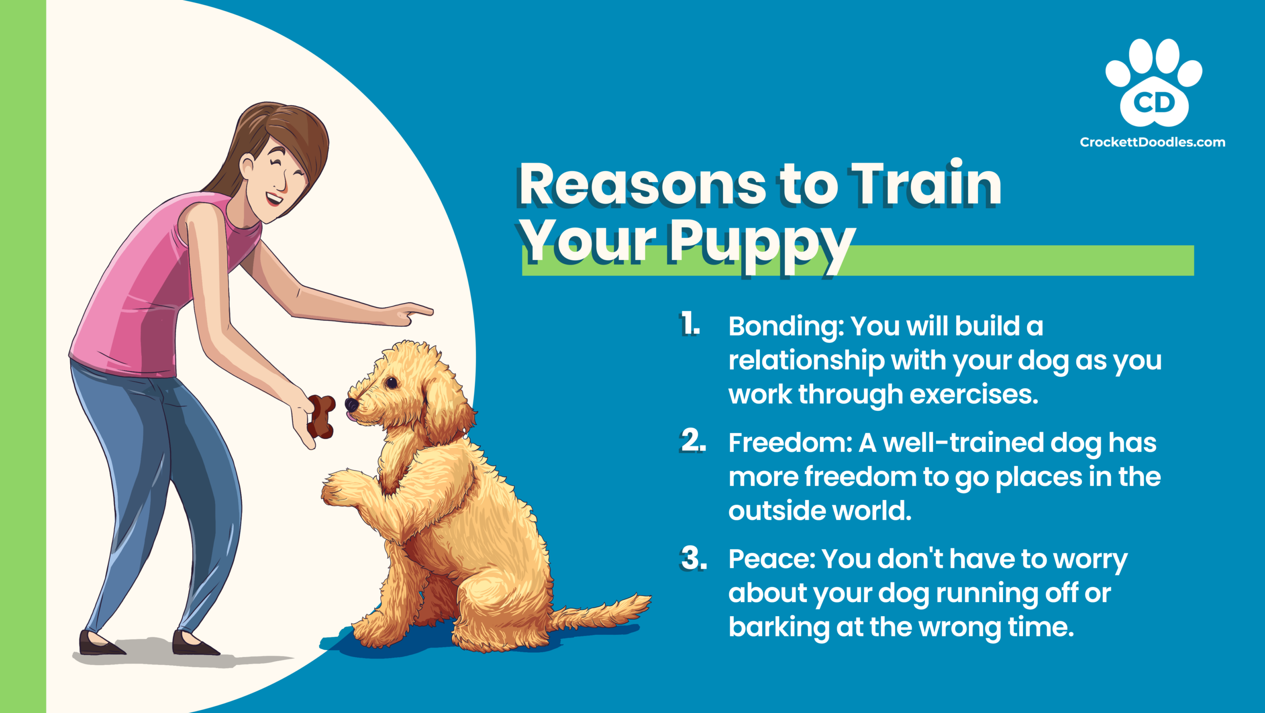 Why to Train Your Dog Infographic