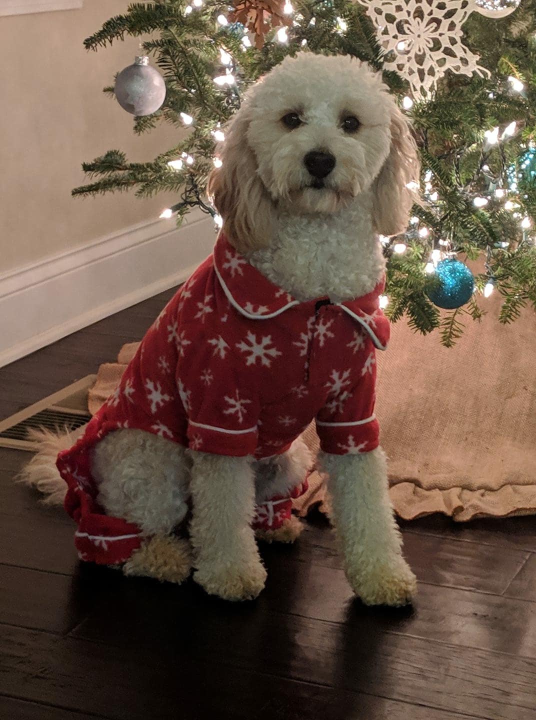 Ugly Sweater Contest Image Option-9