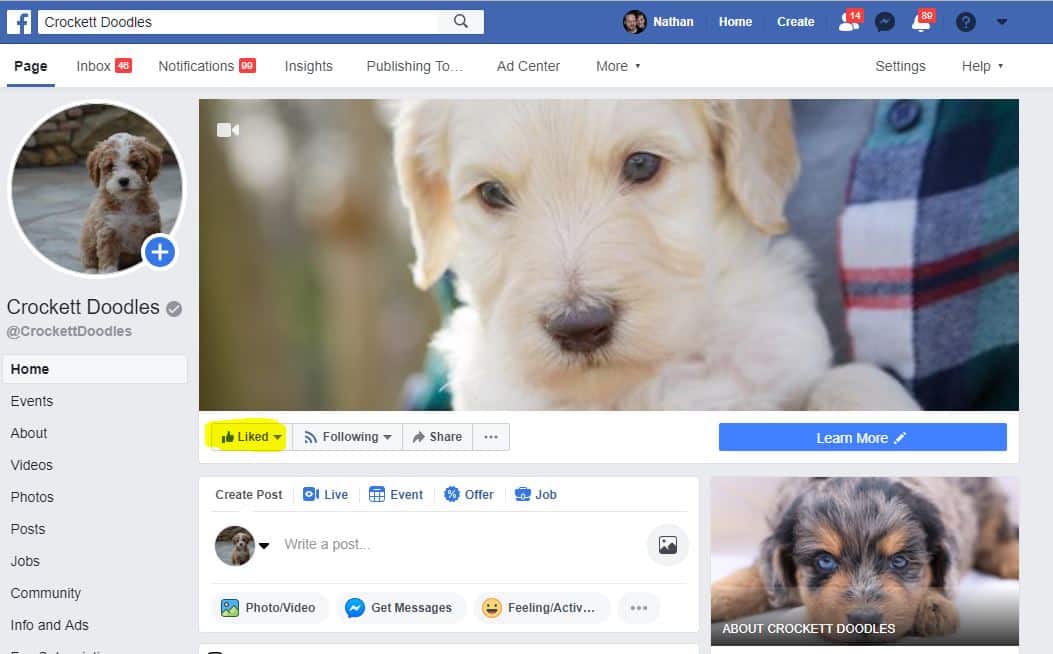 It’s simple to “like” our Crockett Doodles Facebook page, just click the Like button under the main picture (see the yellow highlighted area in the picture above). We’re hoping to have at least 60,000 people like our page by June 21, 2019.