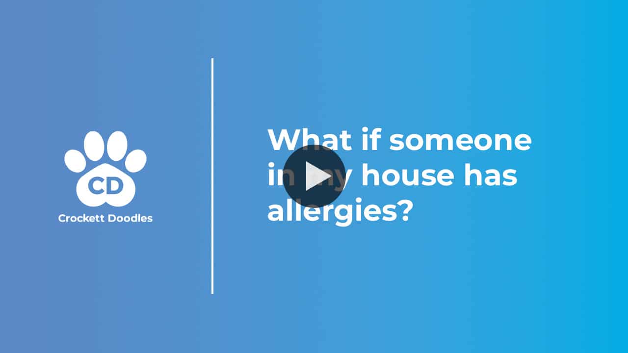 What if someone in my house has allergies?