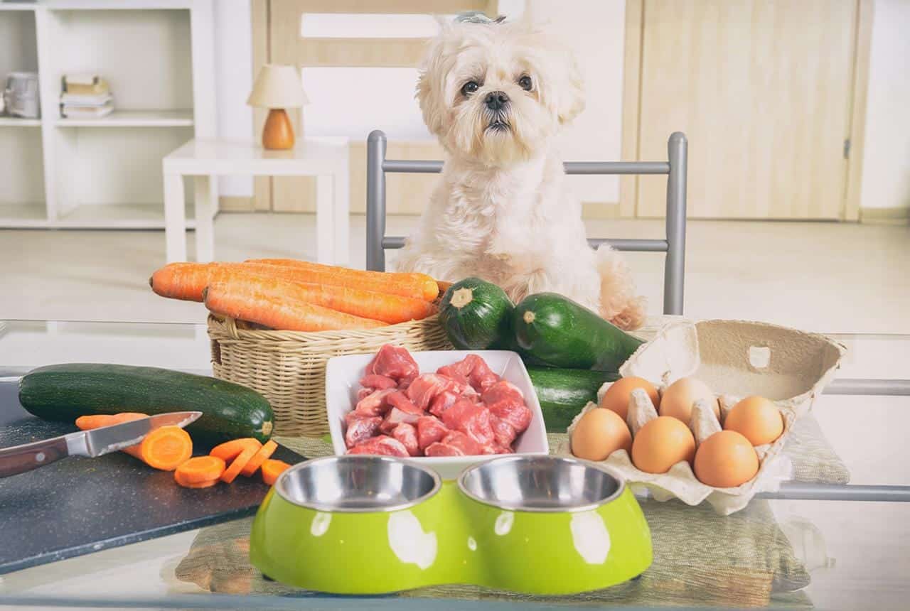 Homemade Healthy Dog Food Cookbook: 100 Easy and Scrumptious